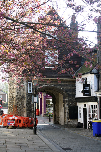 College Gate